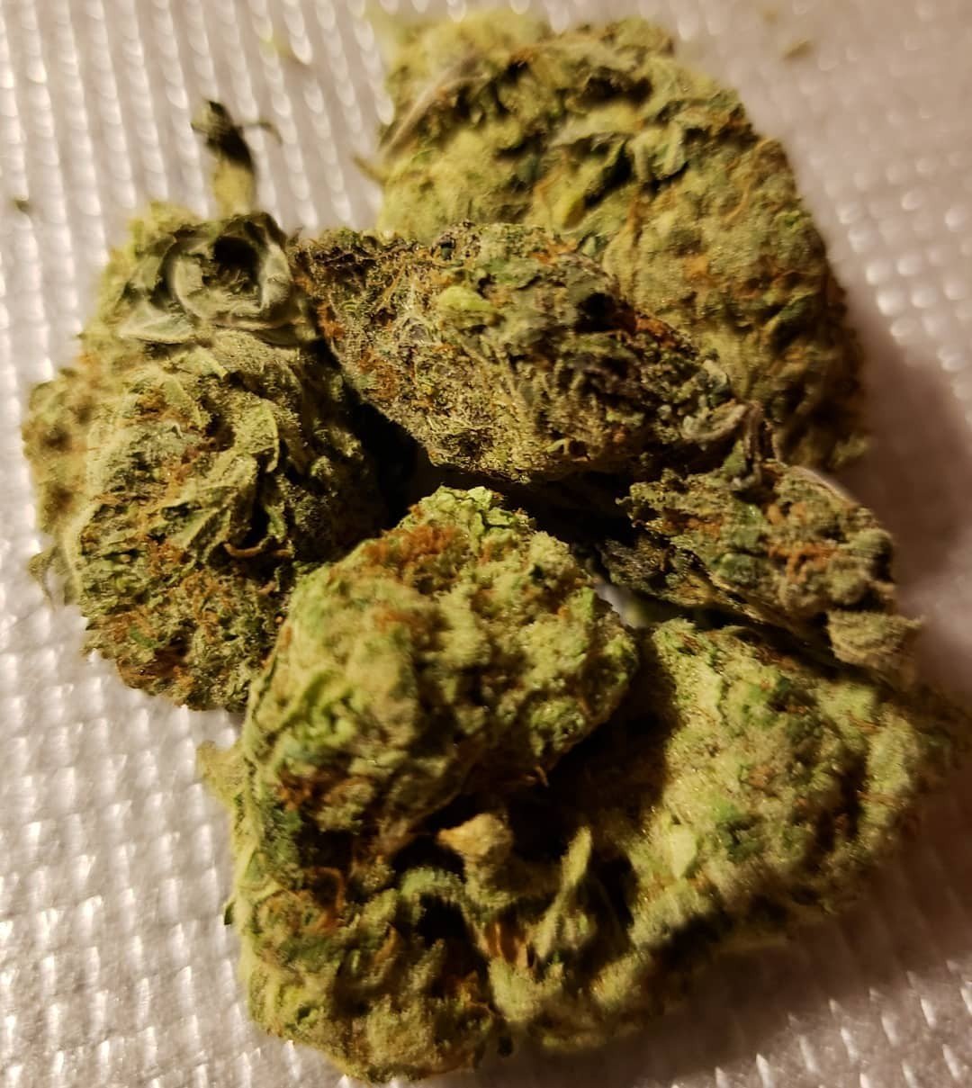 Alien OG