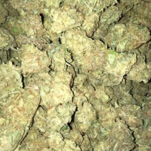 Grand Daddy Purple