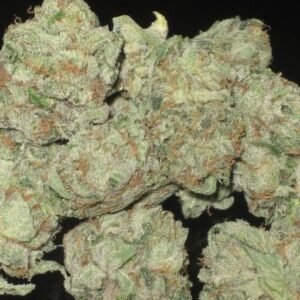 Moonwalker Kush