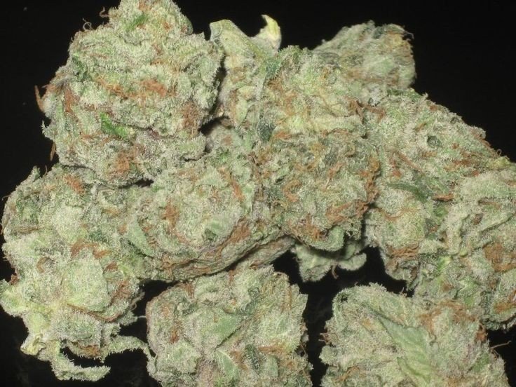Moonwalker Kush