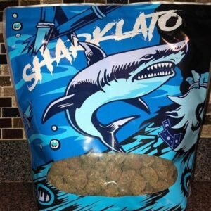 Sharklato Runtz